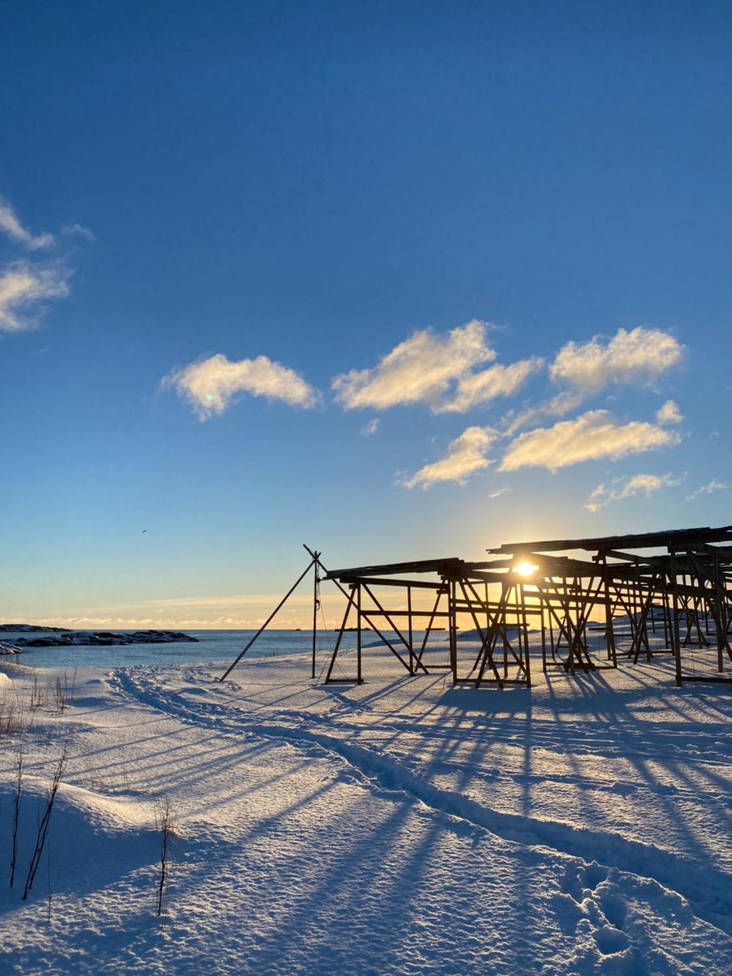 Superior Cabin Ballstad Lofoten Buitenkant foto